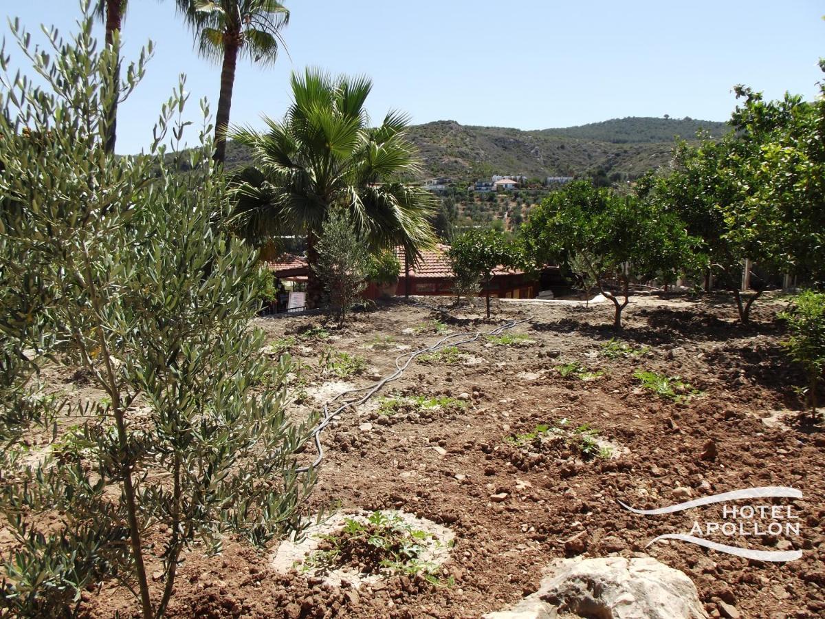 Apollon Hotel Patara Bagian luar foto